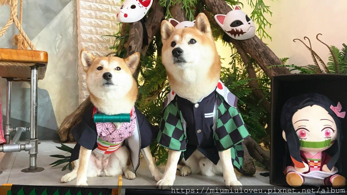 IMG_7194_副本.jpg IMG_7194_副本.jpg