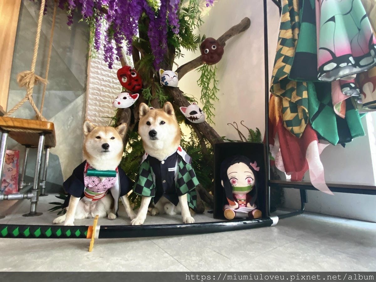 IMG_7204_副本.jpg IMG_7204_副本.jpg