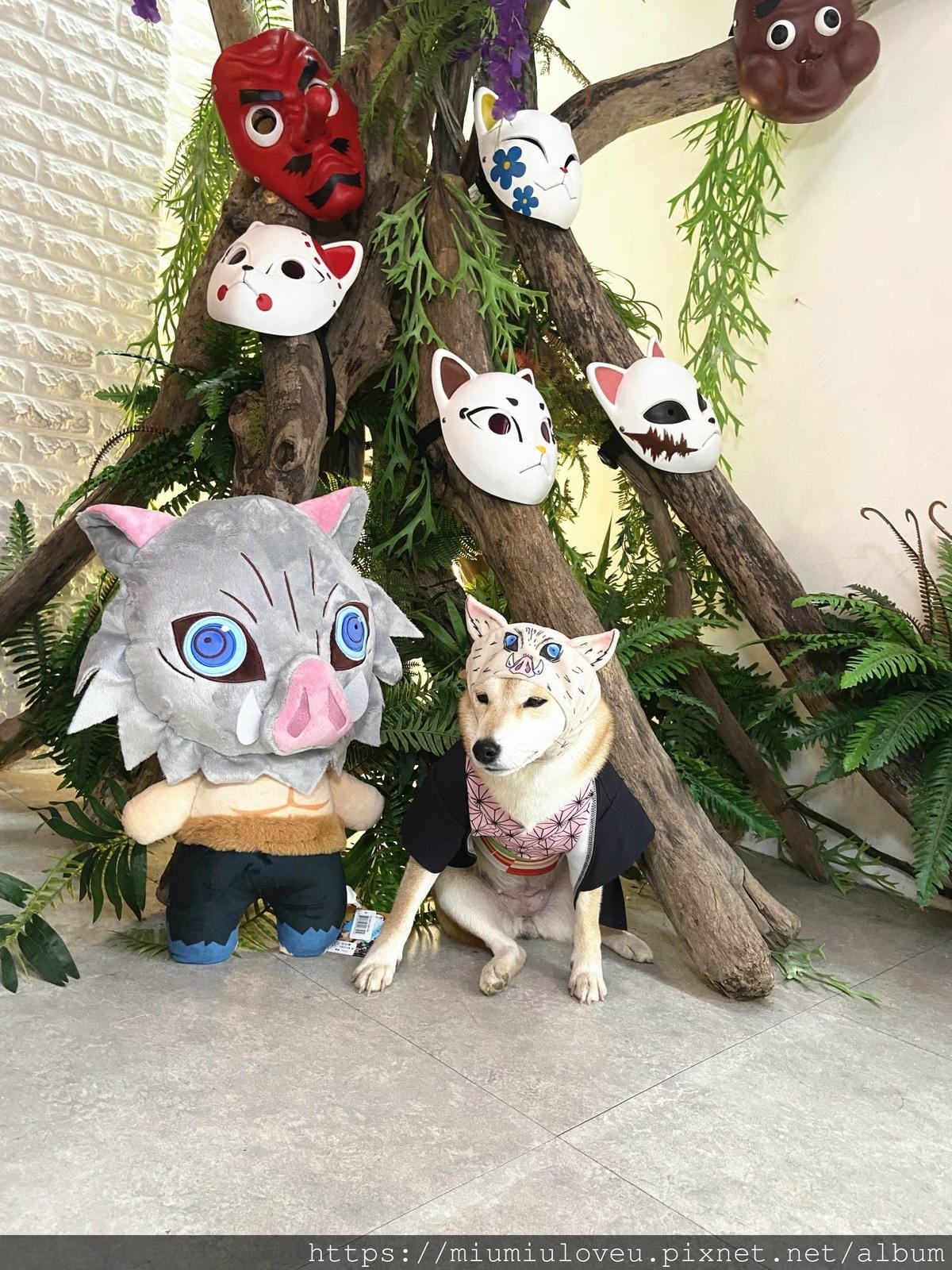 IMG_7308_副本.jpg IMG_7308_副本.jpg