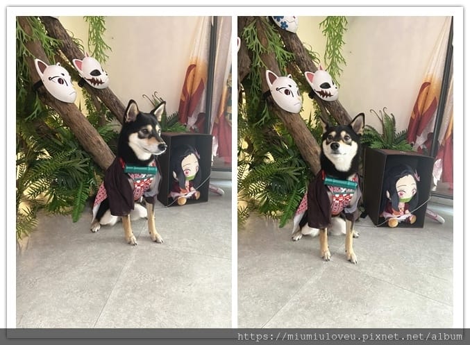 IMG_7217_副本.jpg IMG_7217_副本.jpg