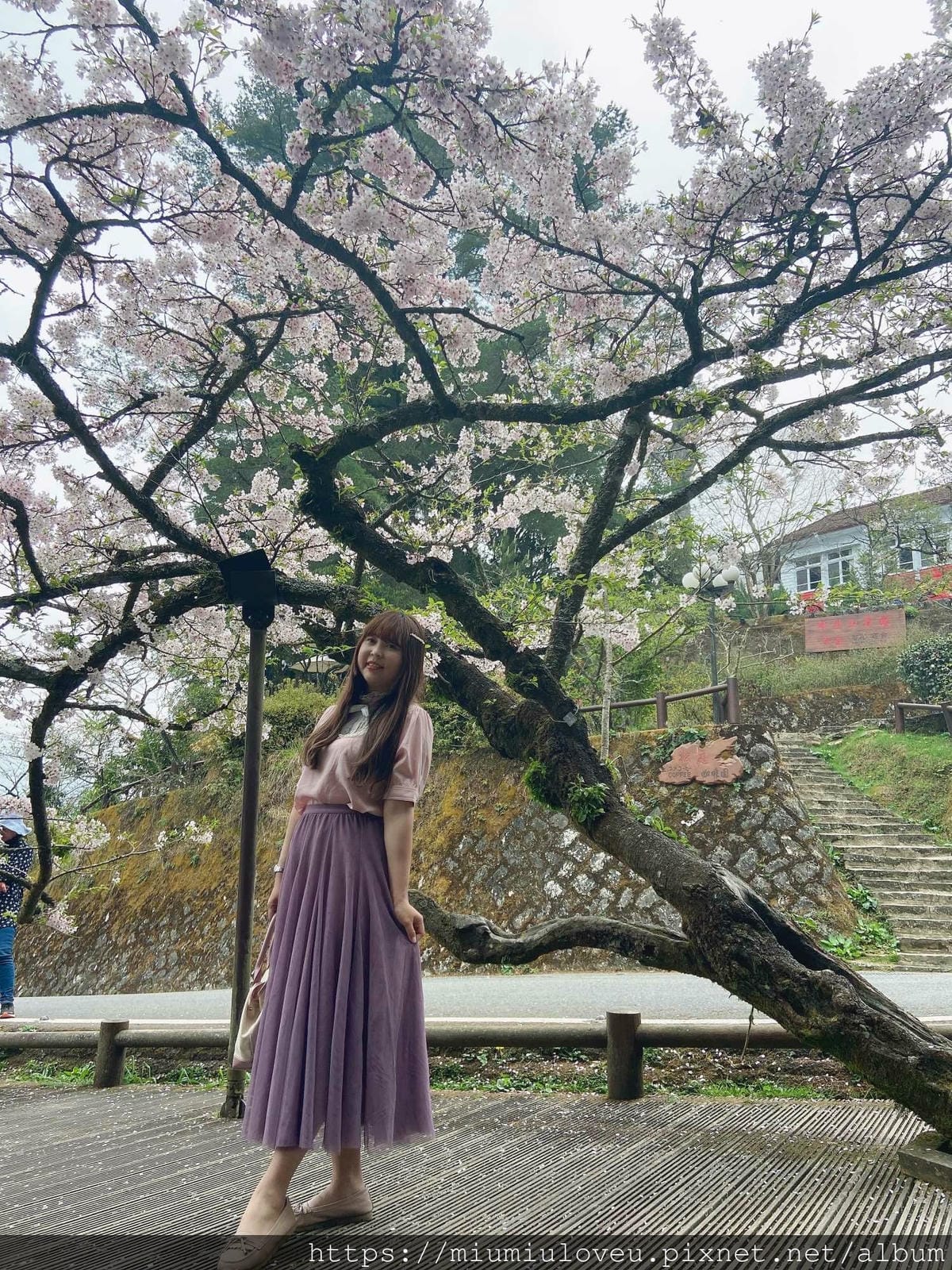 IMG_0801_副本.jpg IMG_0801_副本.jpg