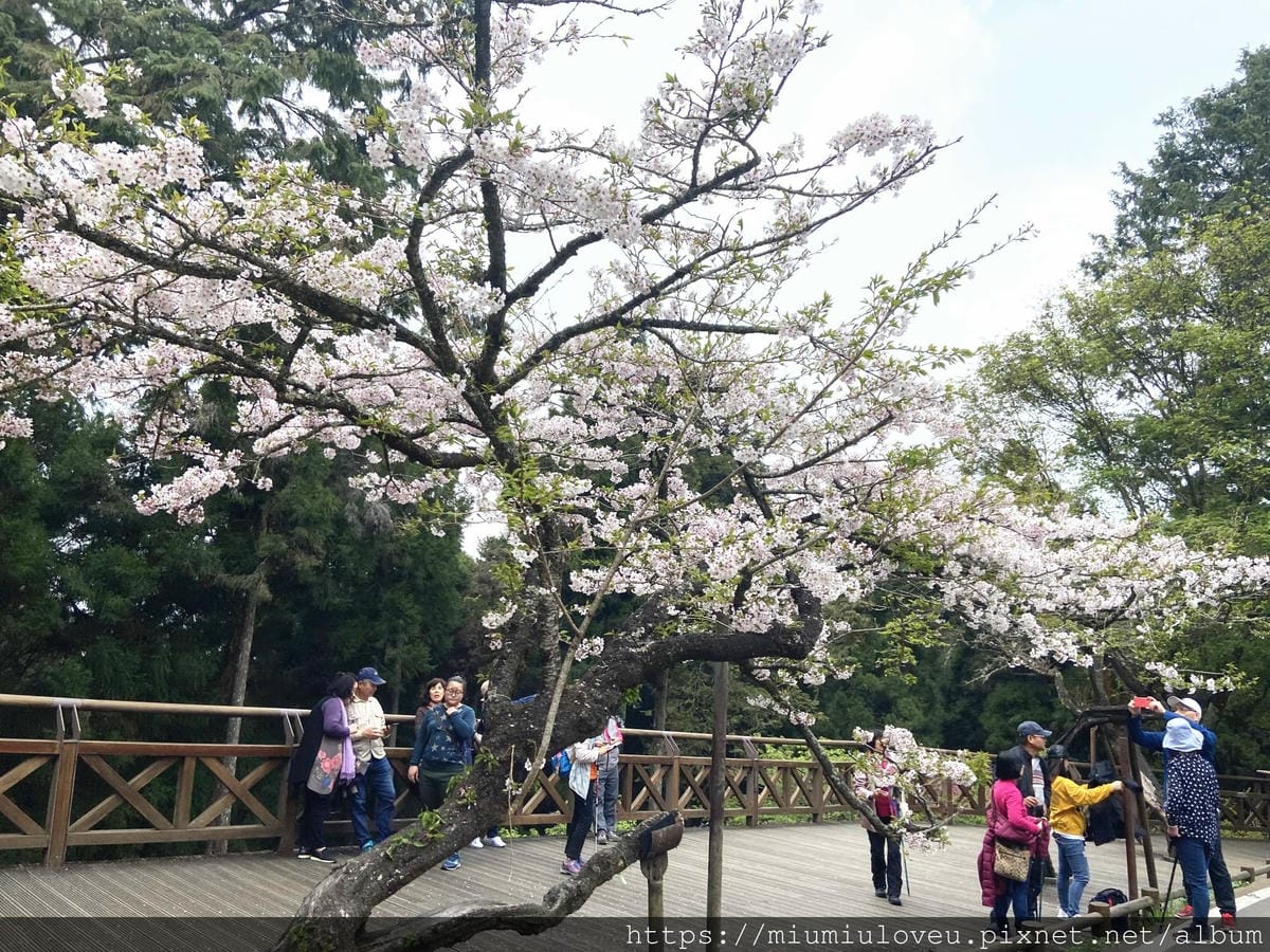 IMG_0796_副本.jpg IMG_0796_副本.jpg