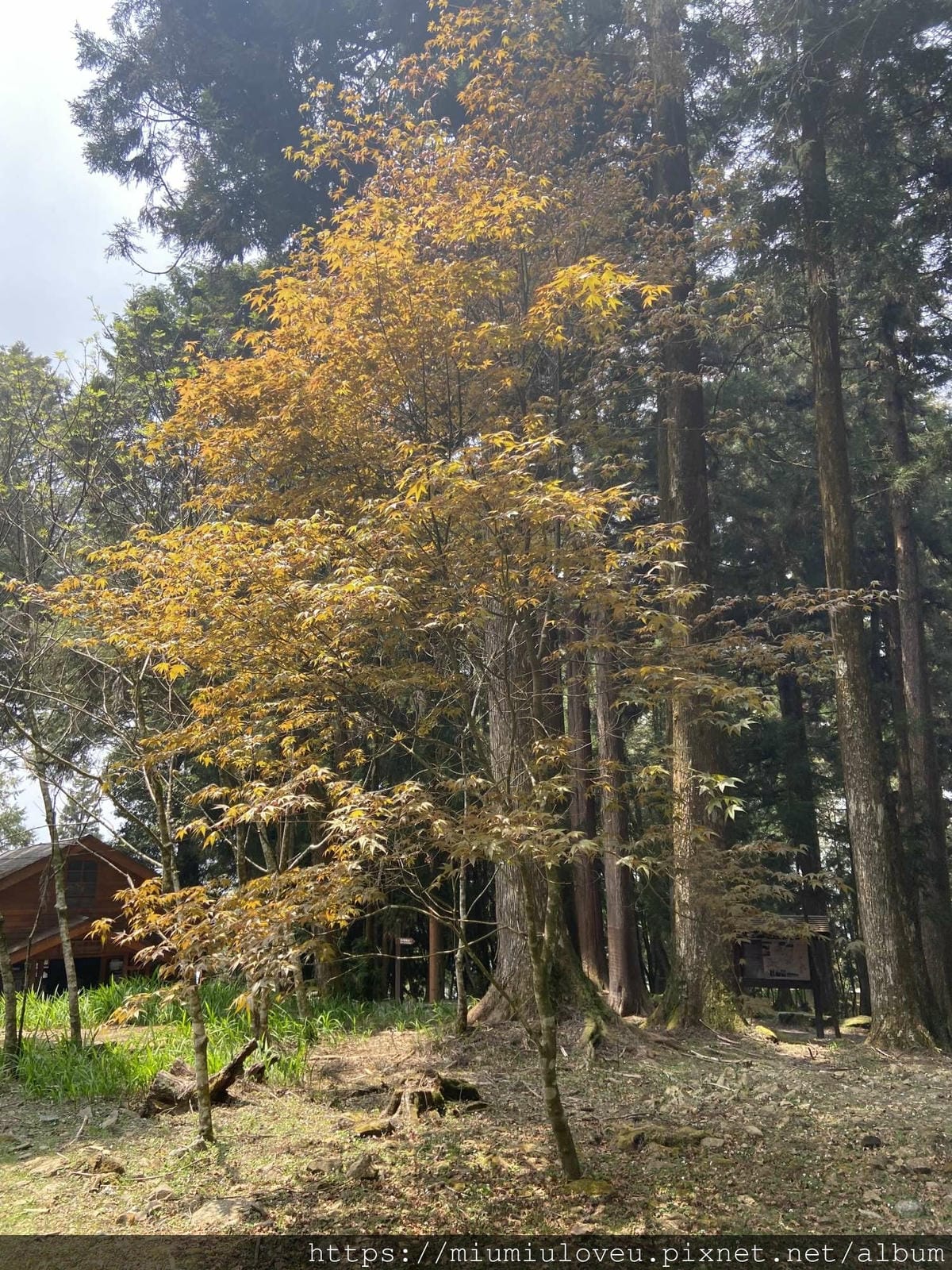 IMG_0884_副本.jpg IMG_0884_副本.jpg