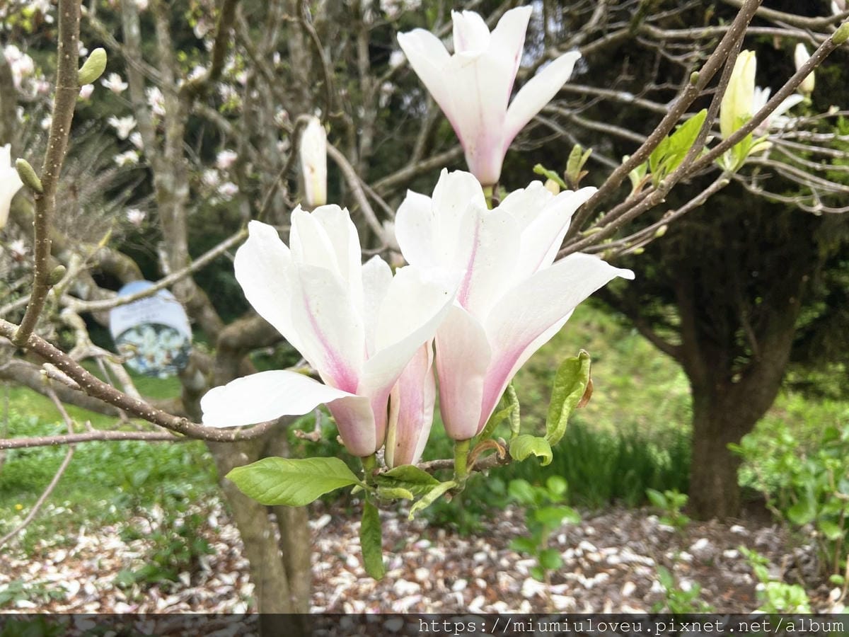 IMG_0825_副本.jpg IMG_0825_副本.jpg