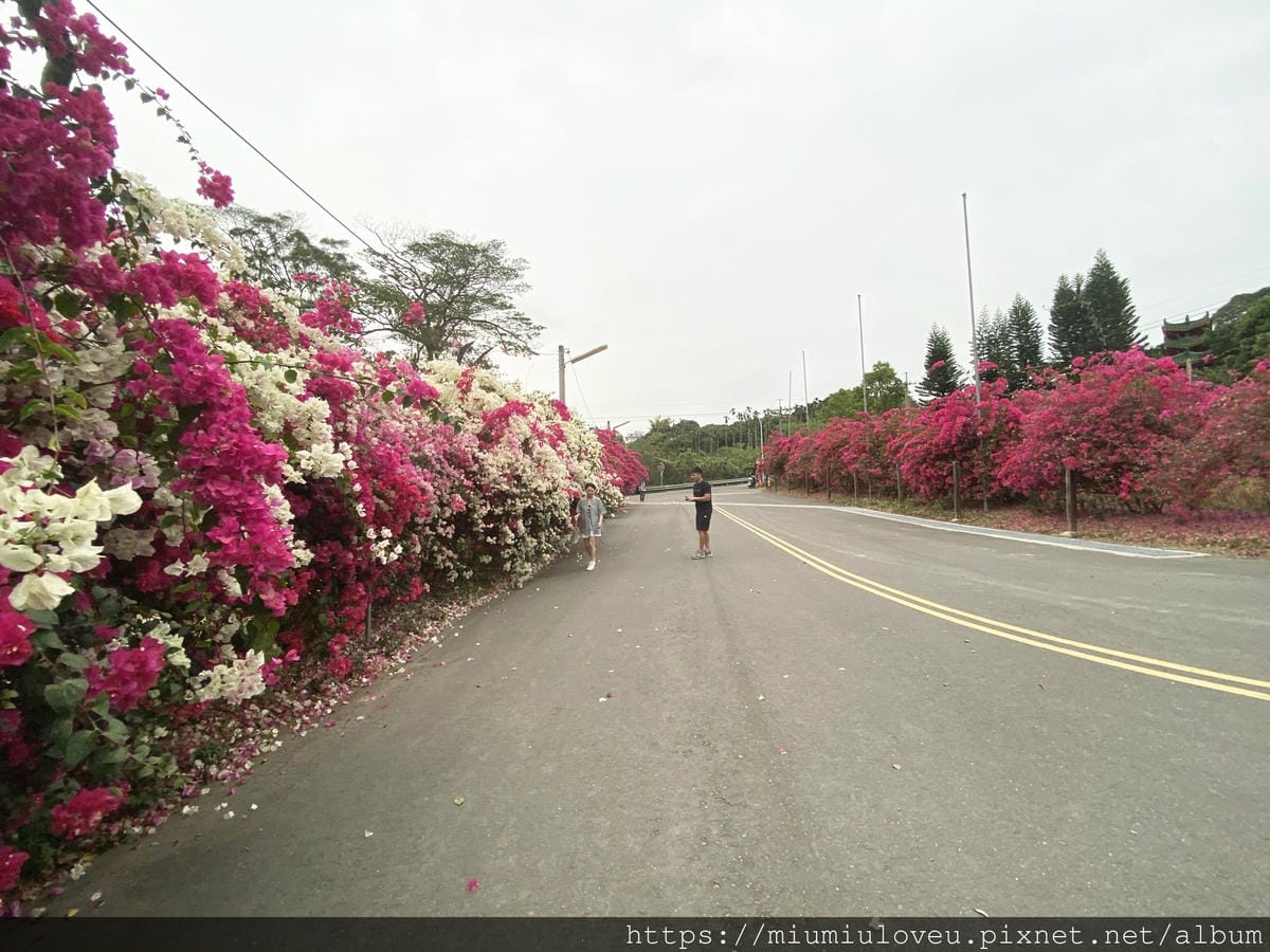 IMG_0963_副本.jpg IMG_0963_副本.jpg