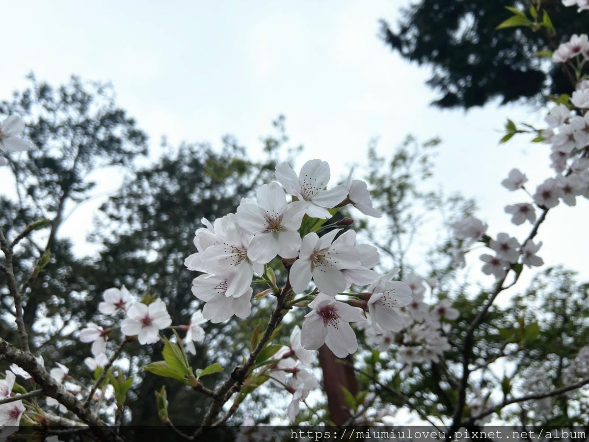 IMG_0887_副本.jpg IMG_0887_副本.jpg