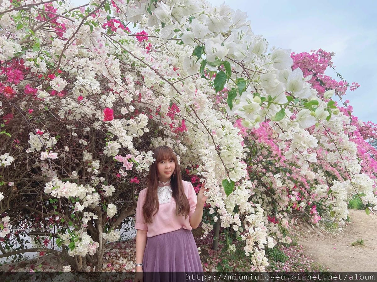 IMG_0973_副本.jpg IMG_0973_副本.jpg