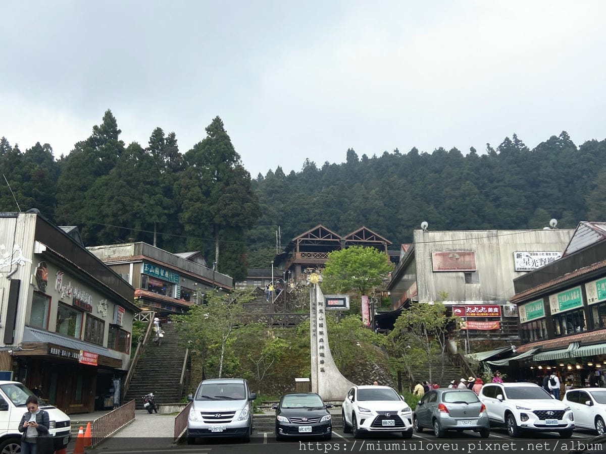 IMG_0686_副本.jpg IMG_0686_副本.jpg