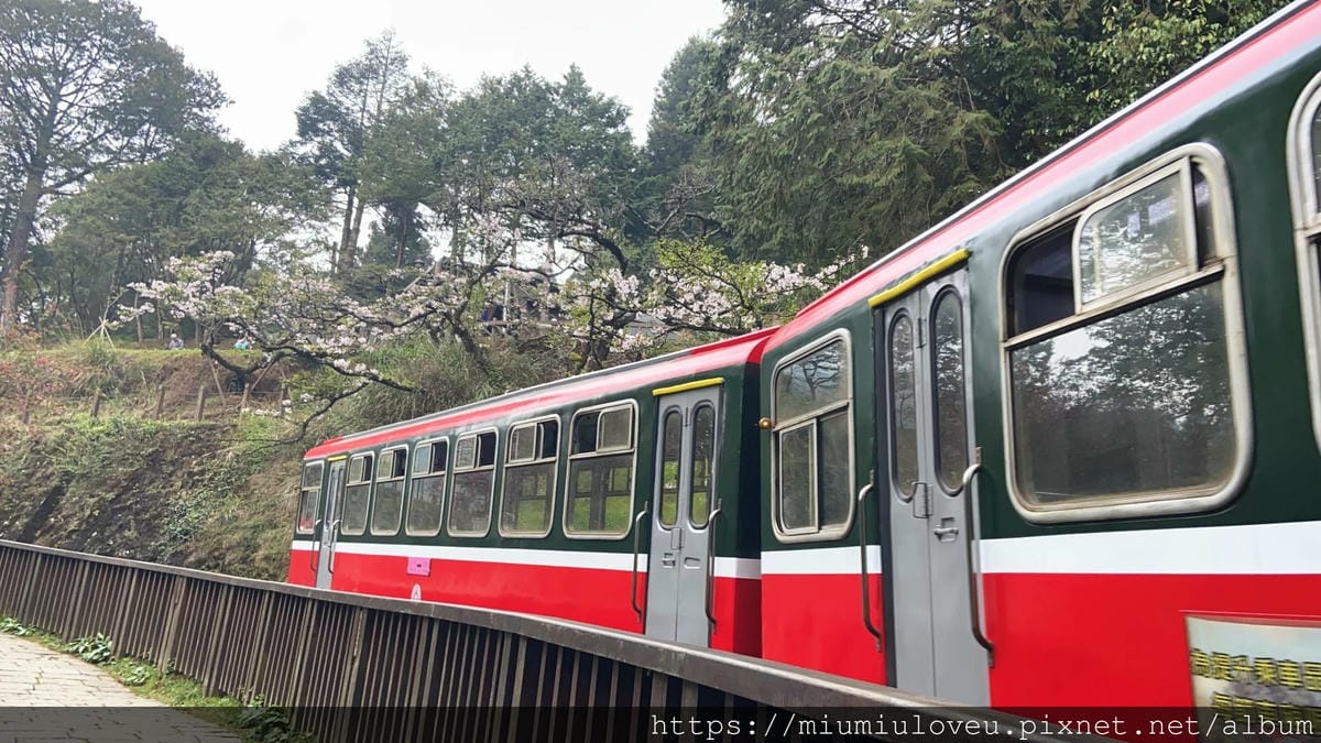 IMG_0750_副本.jpg IMG_0750_副本.jpg