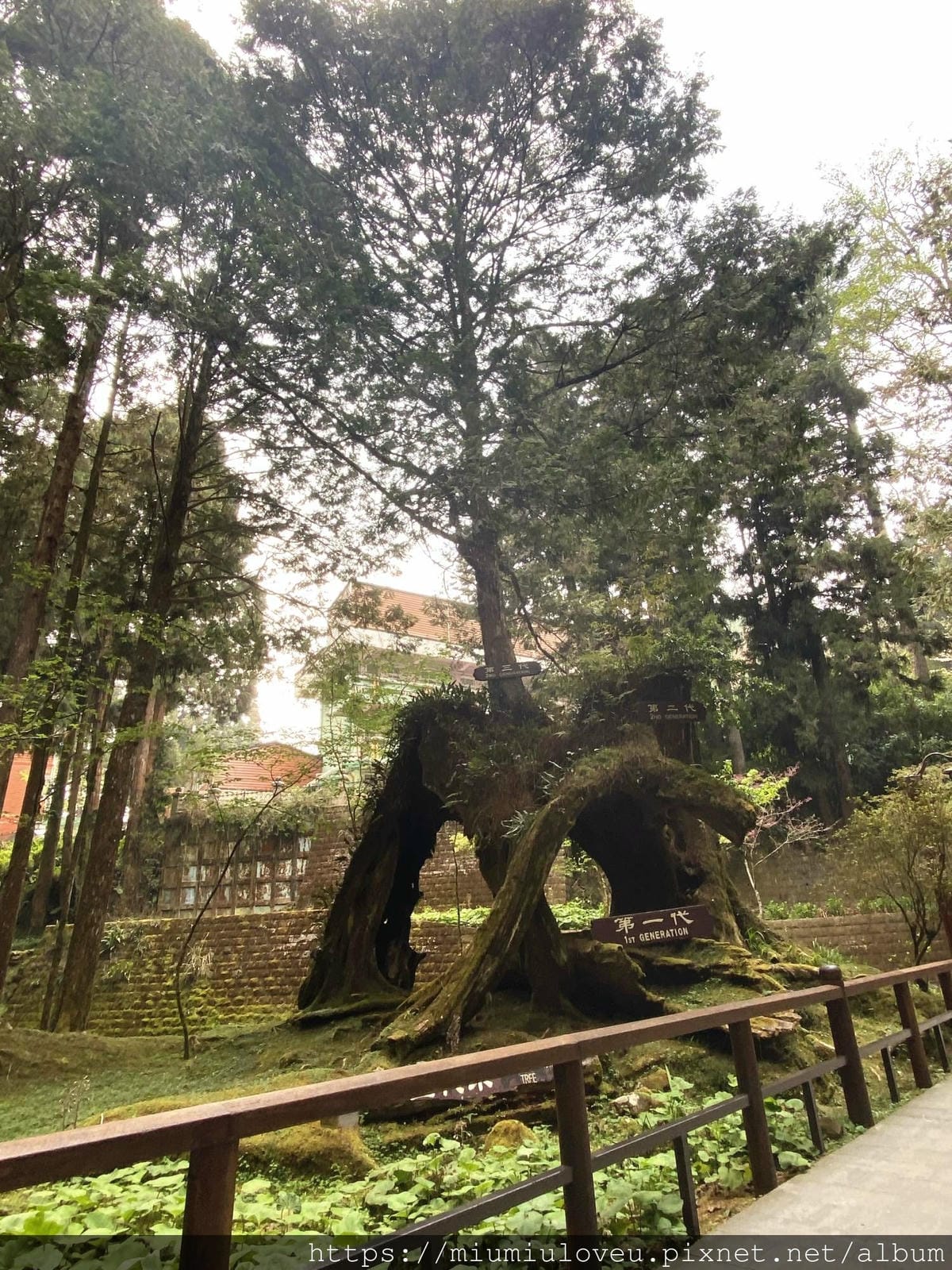 IMG_0843_副本.jpg IMG_0843_副本.jpg