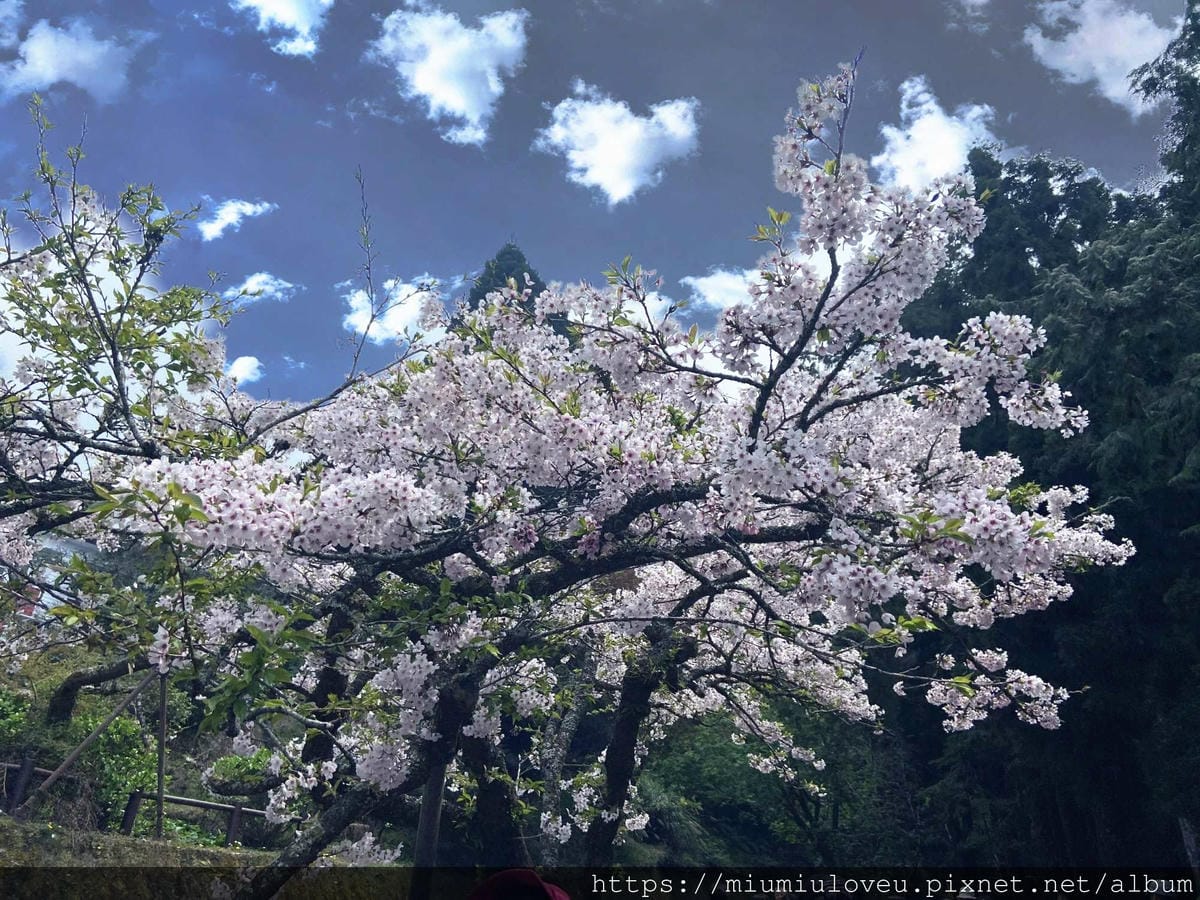 IMG_0921_副本.jpg IMG_0921_副本.jpg