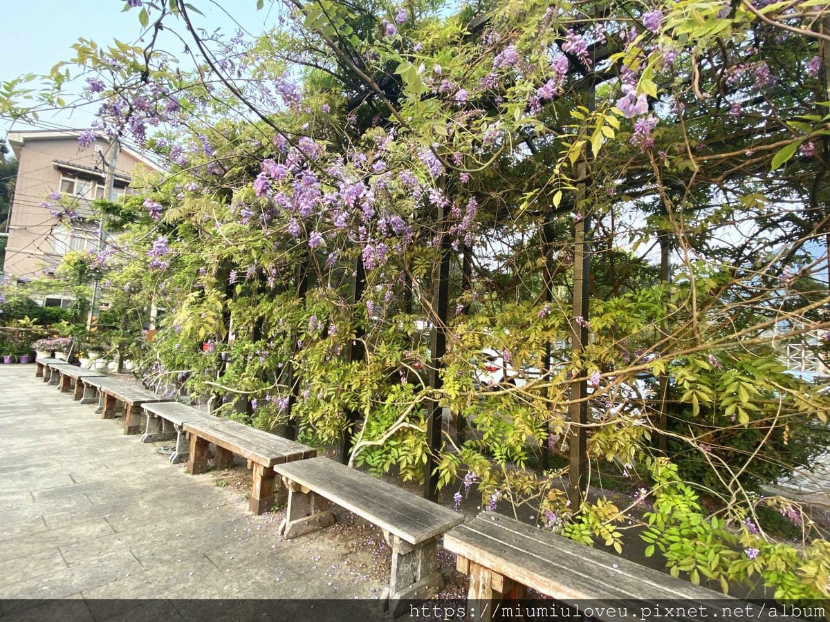 IMG_0589_副本.jpg IMG_0589_副本.jpg