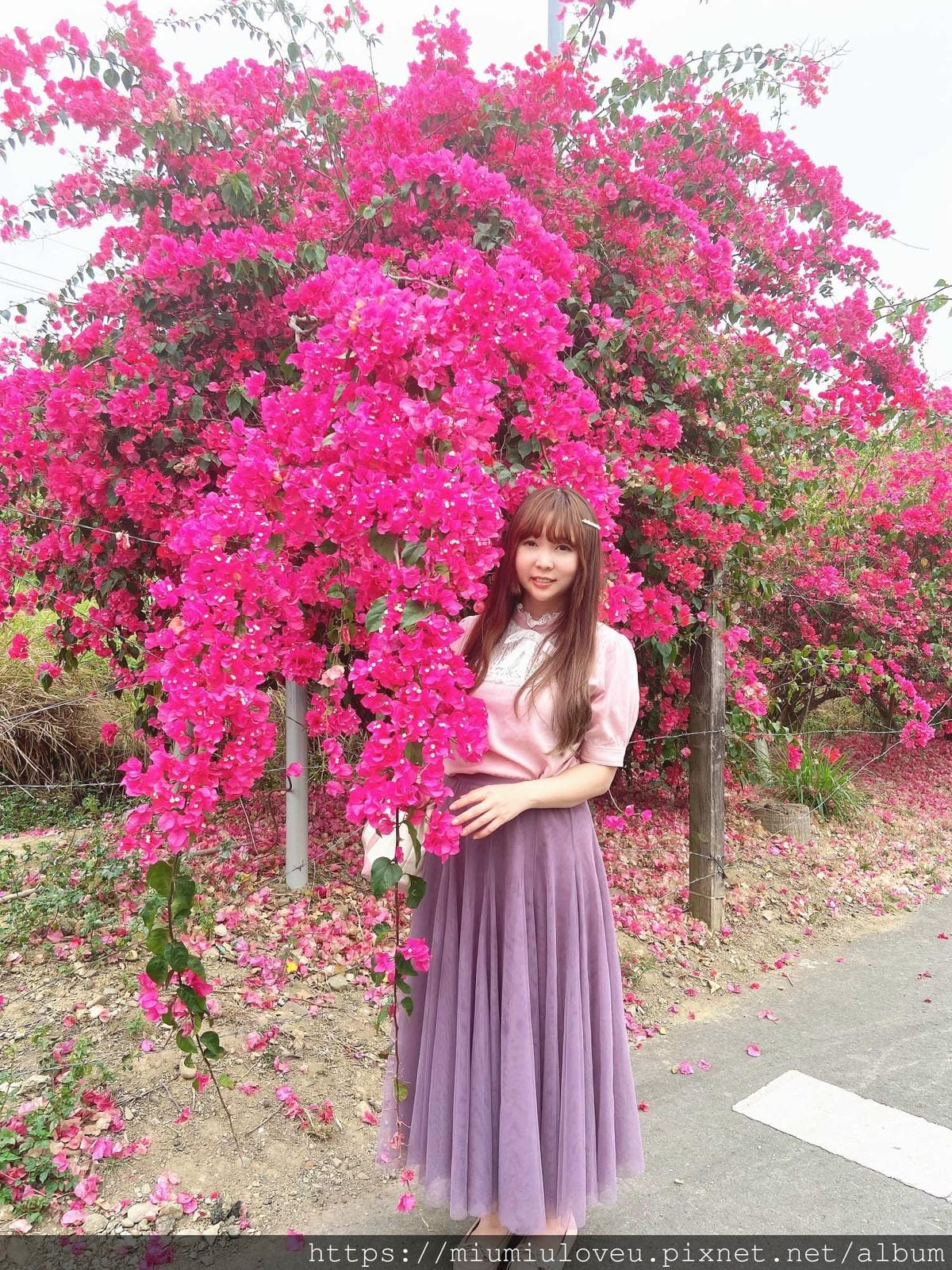 IMG_0935_副本.jpg IMG_0935_副本.jpg