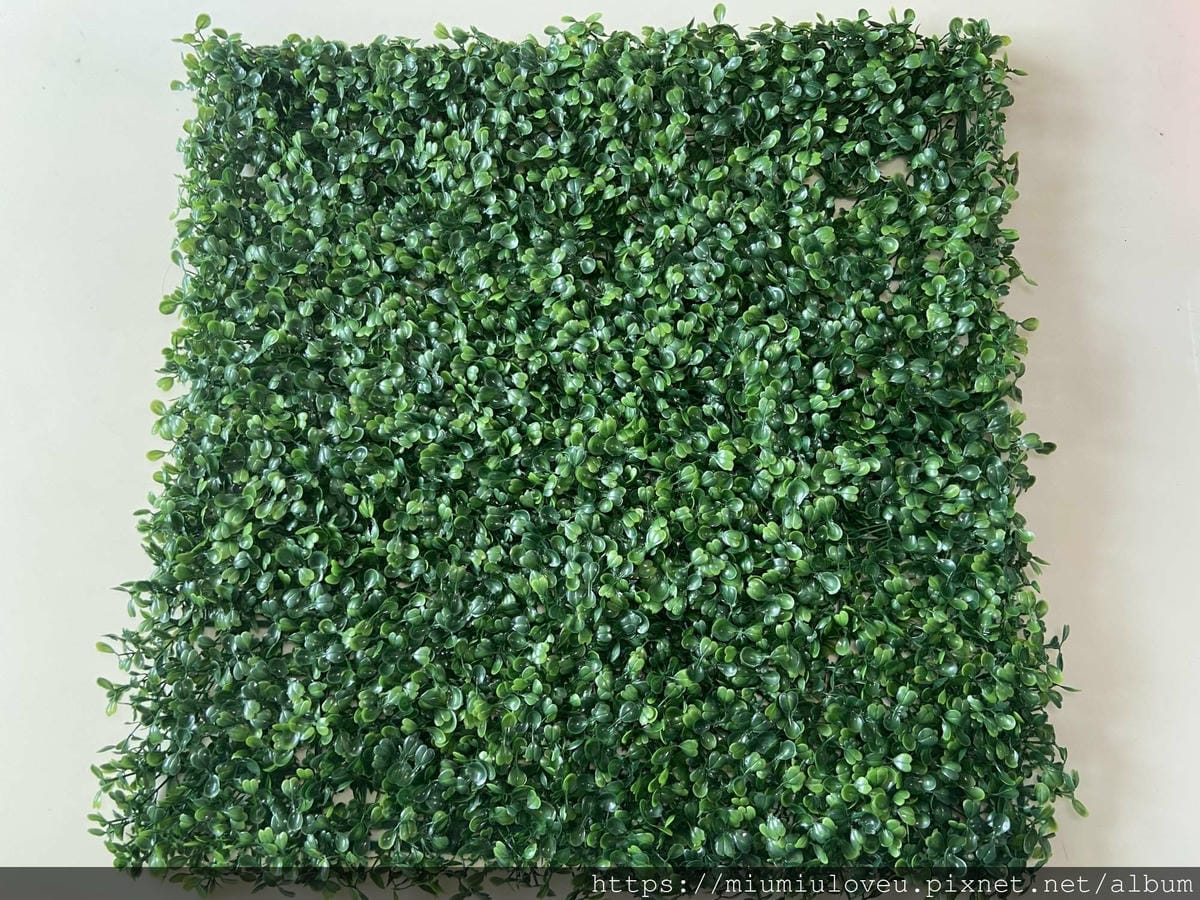 IMG_1228_副本.jpg IMG_1228_副本.jpg