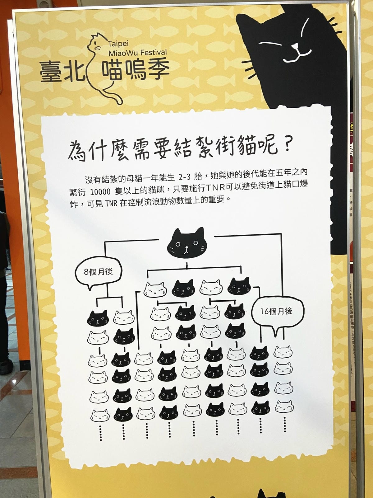 IMG_3279_副本.jpg IMG_3279_副本.jpg