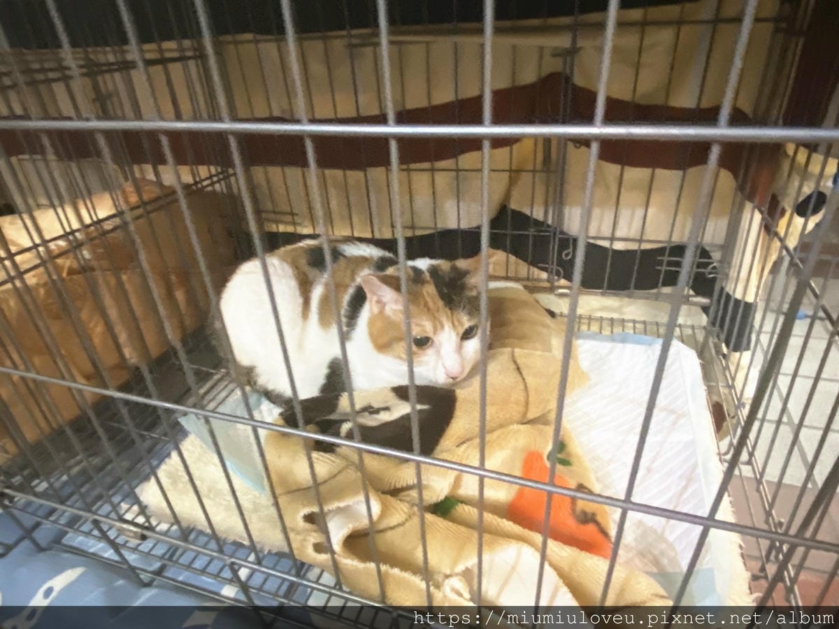 IMG_5228_副本.jpg IMG_5228_副本.jpg