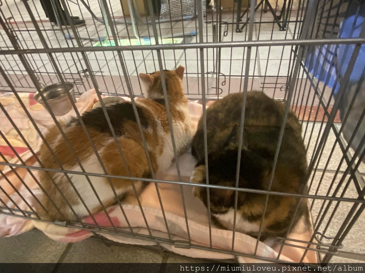 IMG_5229_副本.jpg IMG_5229_副本.jpg