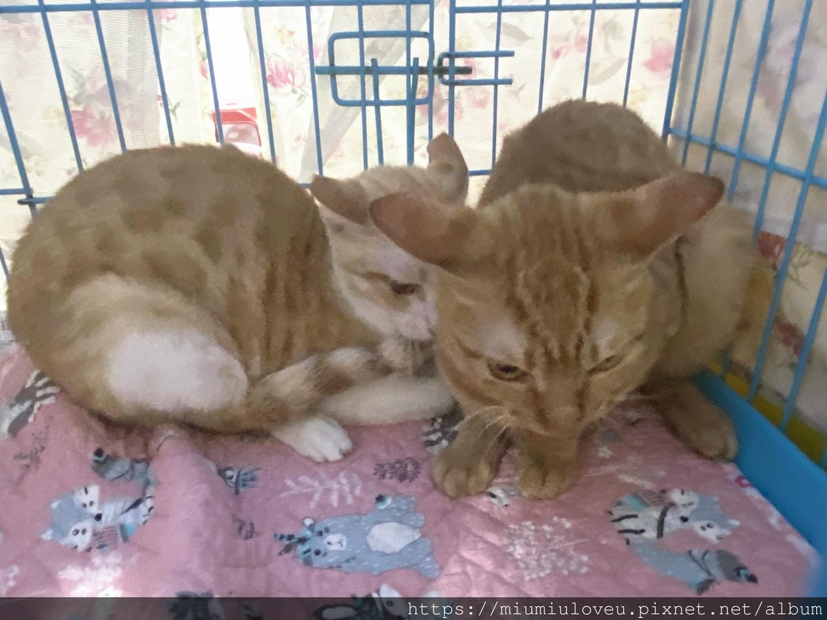 IMG_5244_副本.jpg IMG_5244_副本.jpg