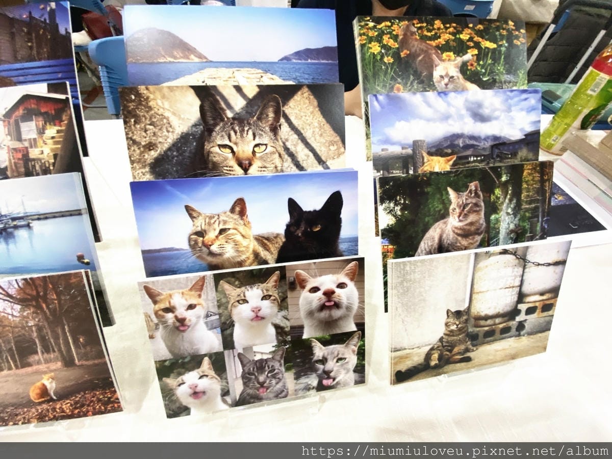 IMG_5279_副本.jpg IMG_5279_副本.jpg