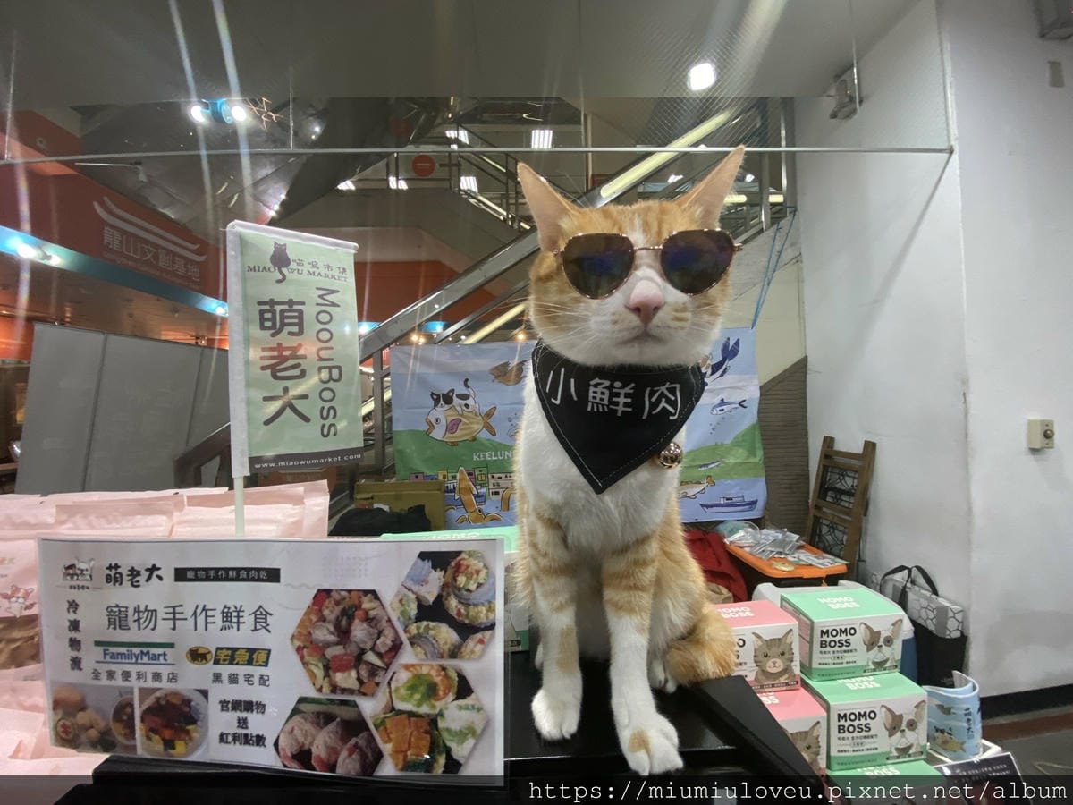 IMG_5256_副本.jpg IMG_5256_副本.jpg