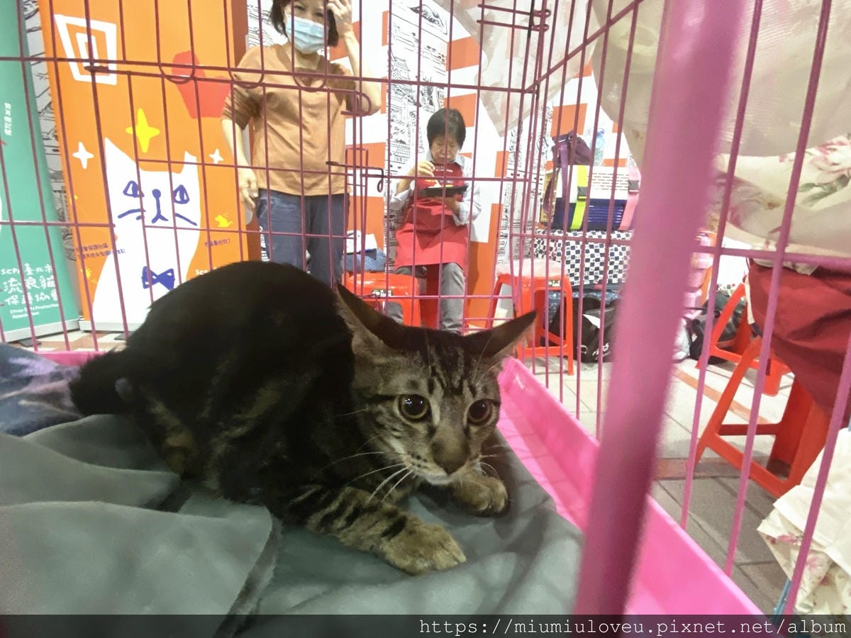 IMG_5246_副本.jpg IMG_5246_副本.jpg