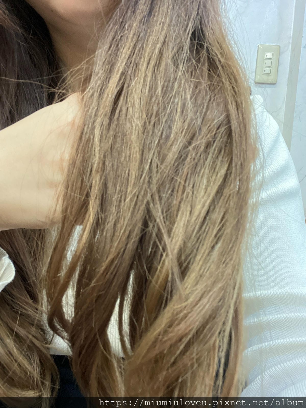 IMG_5372_副本.jpg IMG_5372_副本.jpg