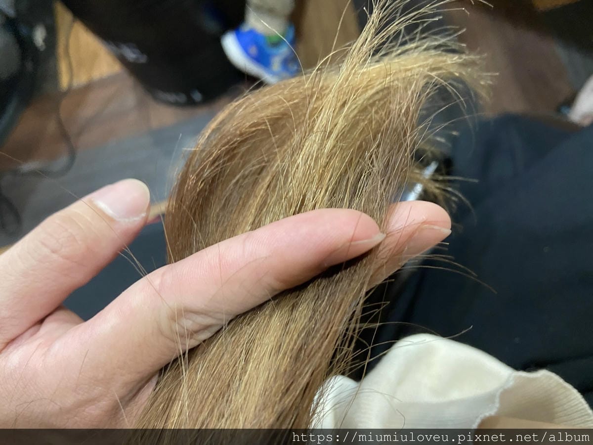 IMG_5394_副本.jpg IMG_5394_副本.jpg