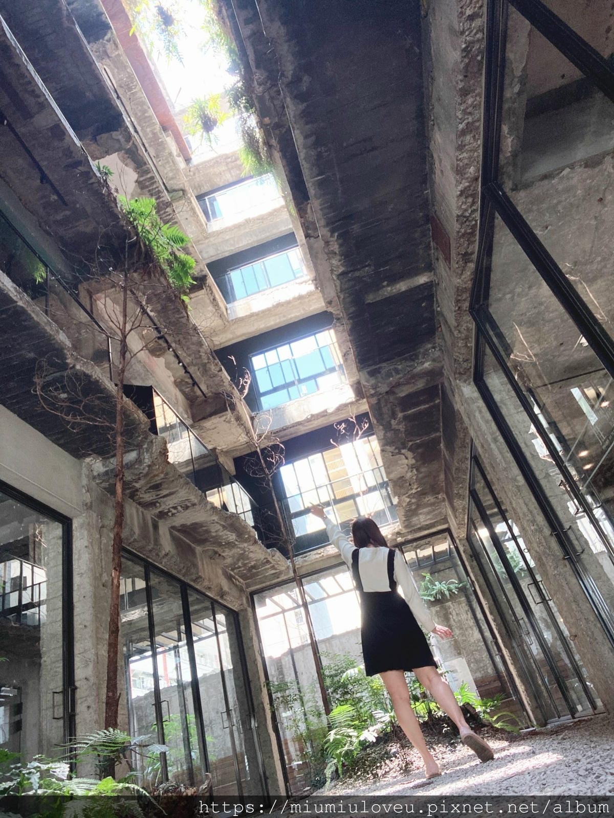 IMG_2744_副本.jpg IMG_2744_副本.jpg