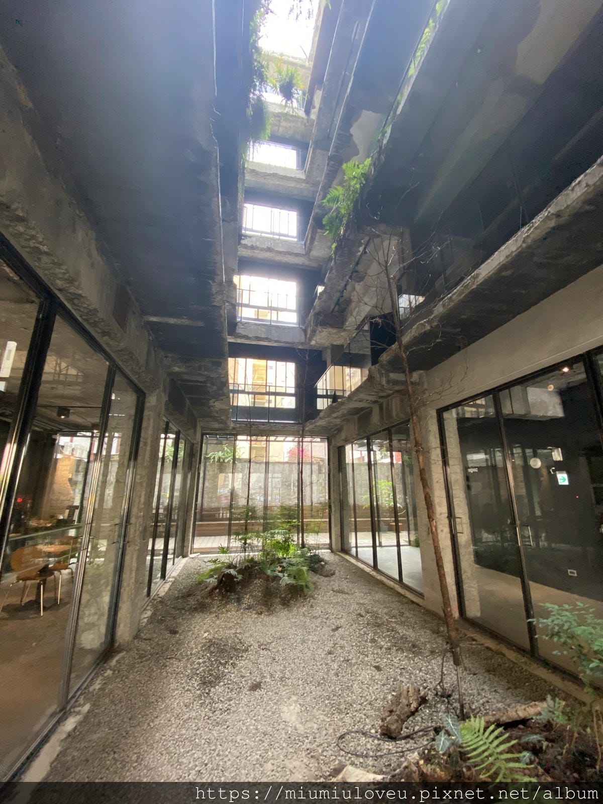 IMG_2707_副本.jpg IMG_2707_副本.jpg