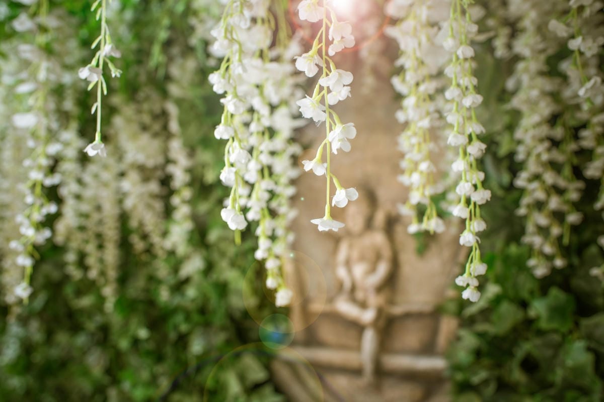 攝影棚景_210402_7.jpg 攝影棚景_210402_7.jpg