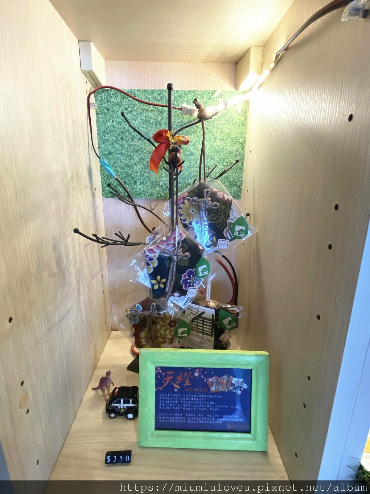 IMG_2351_副本.jpg
