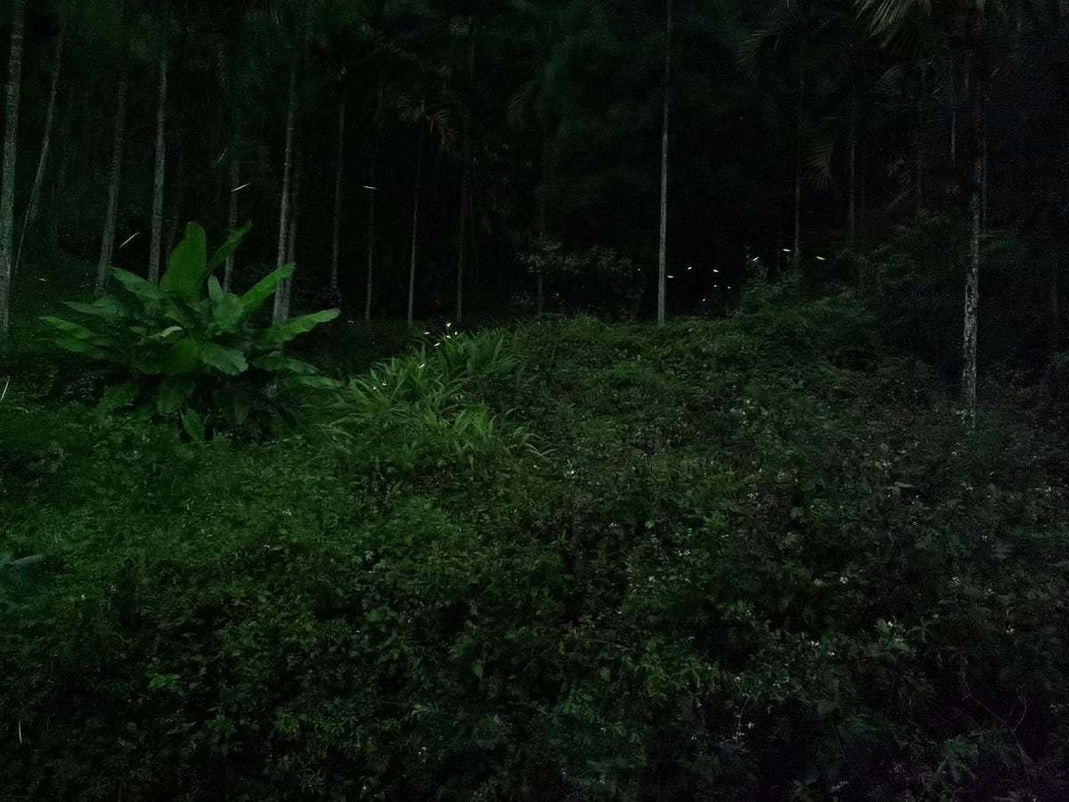 180295059_3801749606540570_7806457416128008838.jpg 180295059_3801749606540570_7806457416128008838.jpg