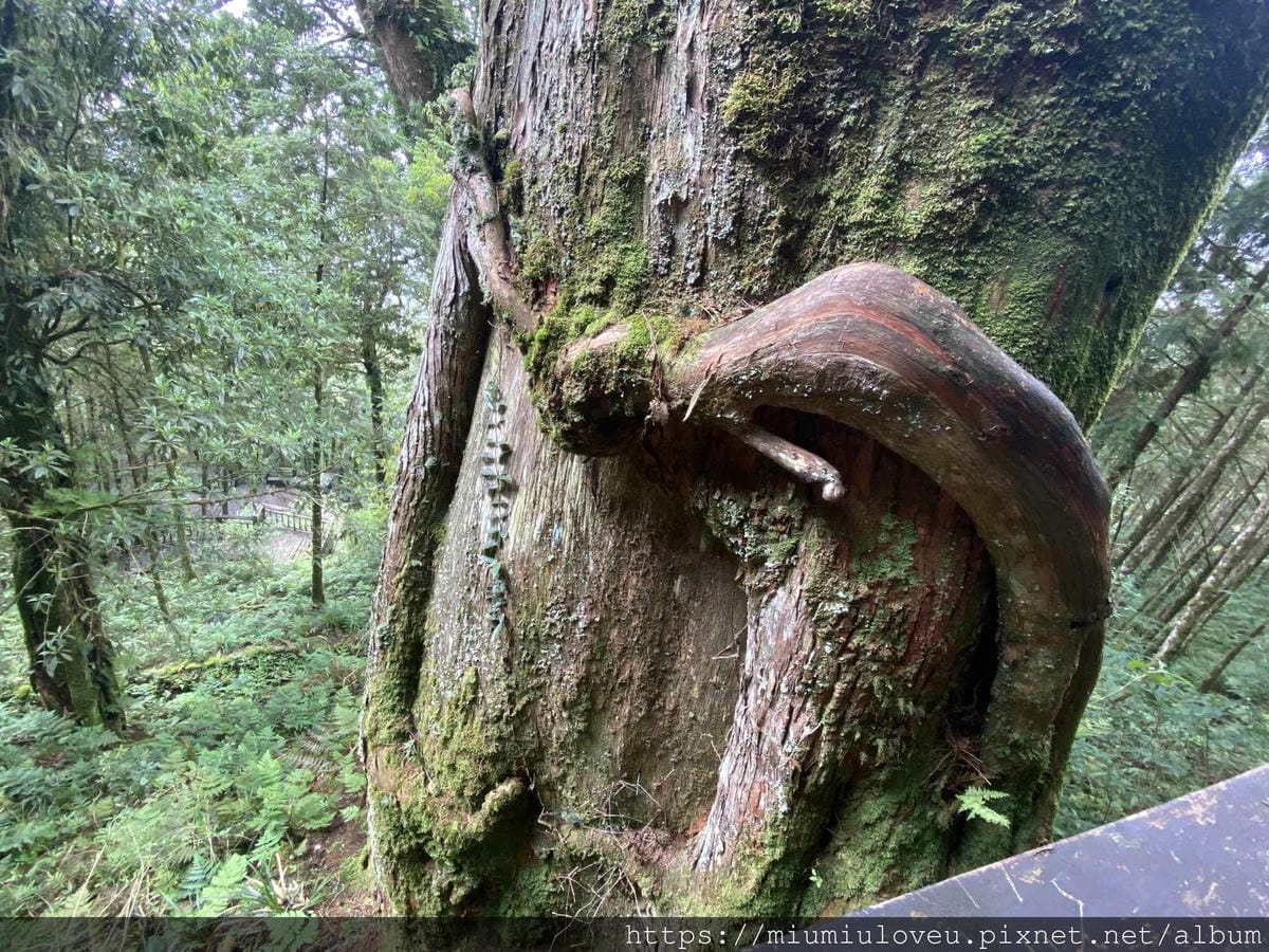 IMG_0181_副本.jpg IMG_0181_副本.jpg