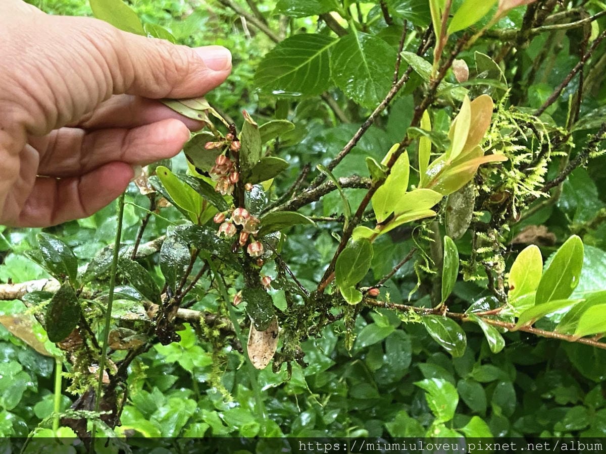 IMG_9683_副本.jpg IMG_9683_副本.jpg