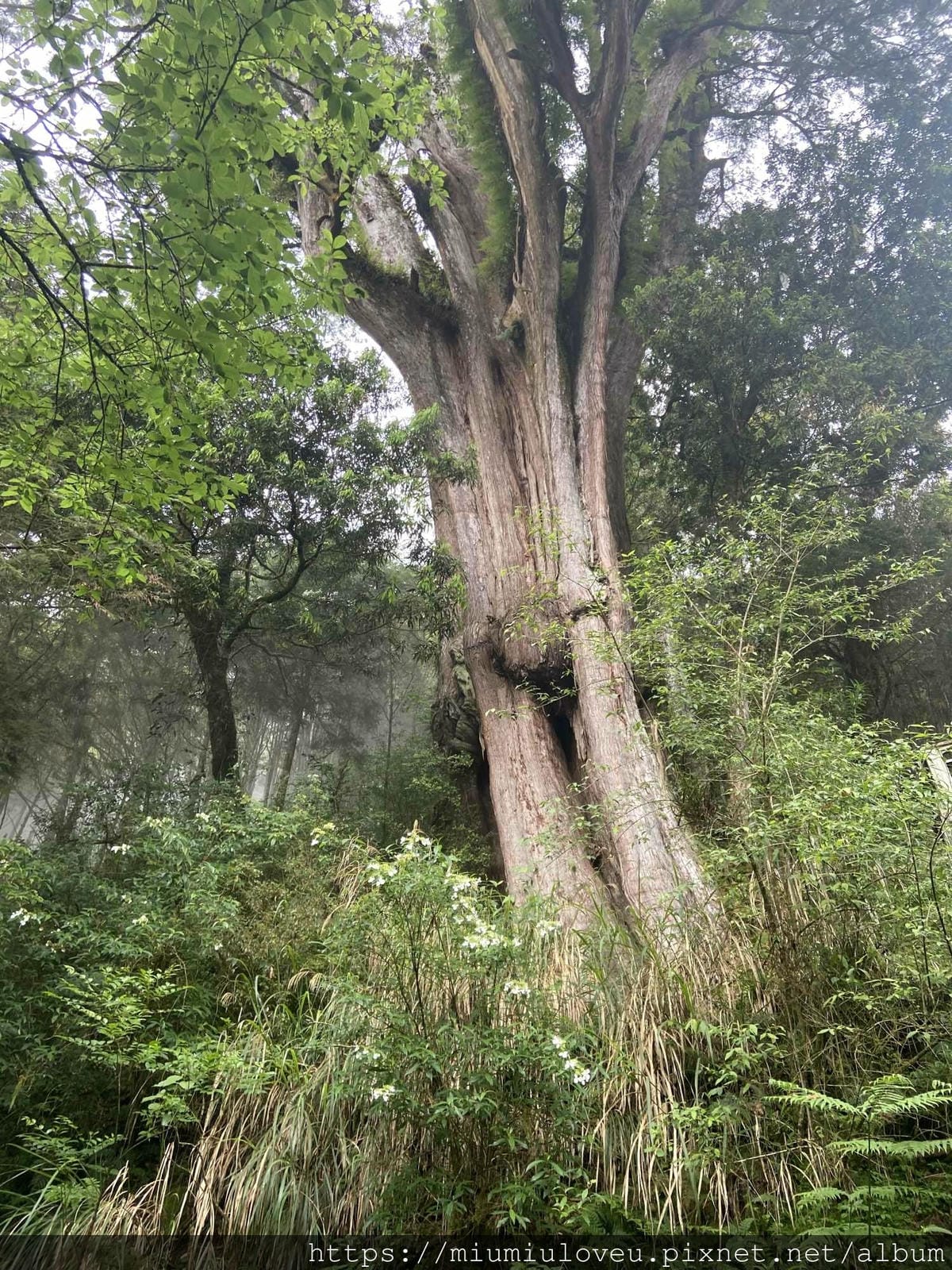 IMG_0210_副本.jpg IMG_0210_副本.jpg