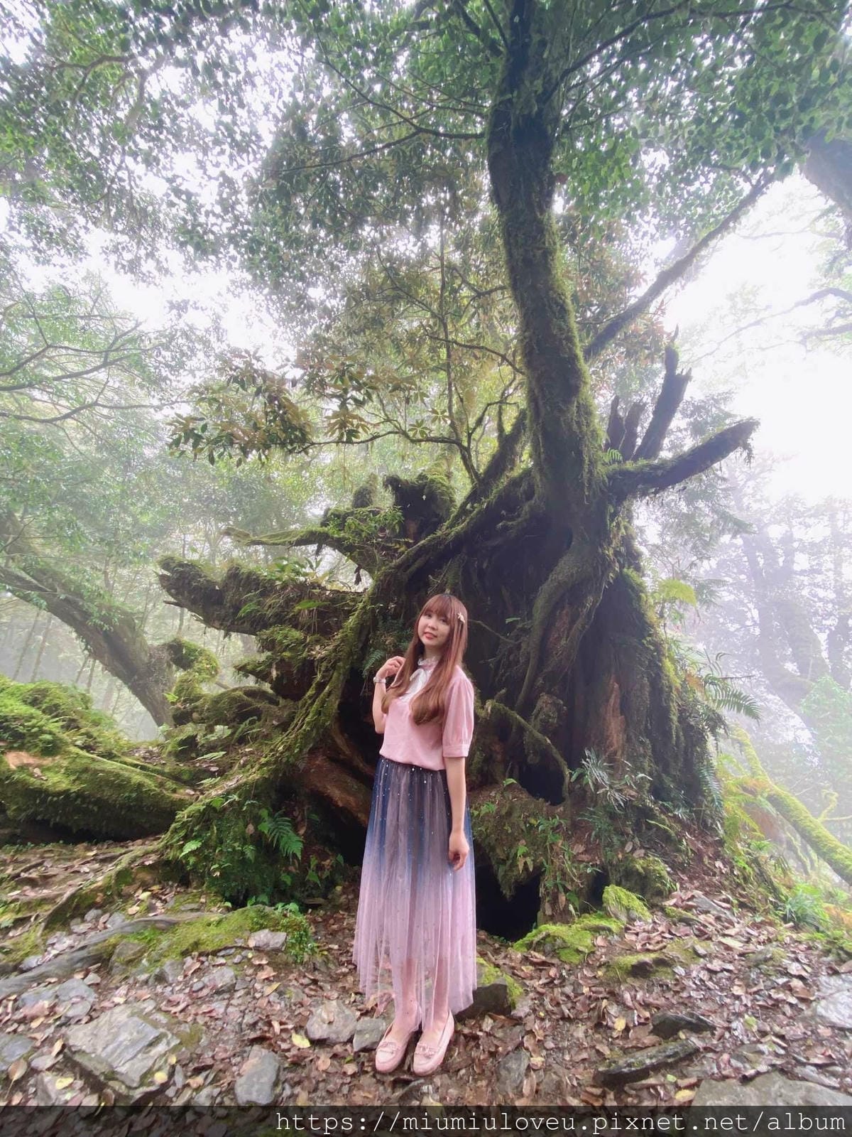 IMG_0264_副本.jpg IMG_0264_副本.jpg