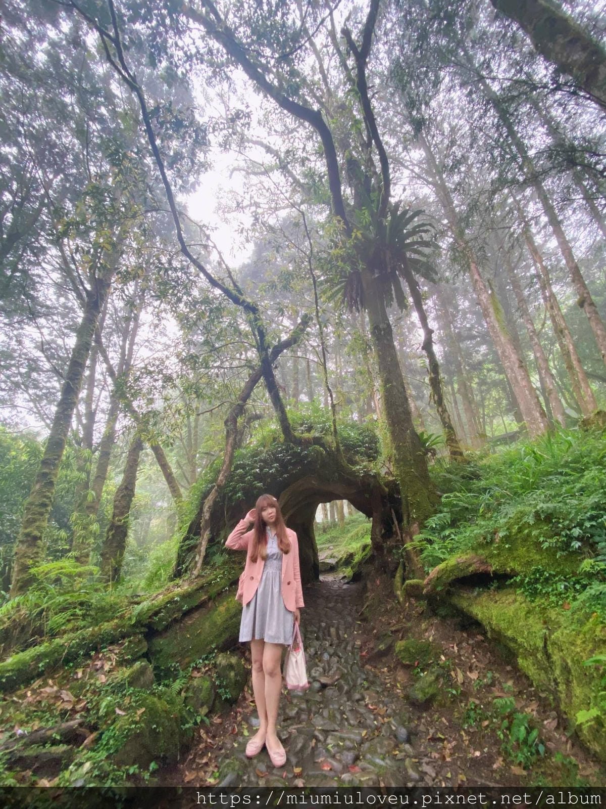 IMG_9811_副本.jpg IMG_9811_副本.jpg