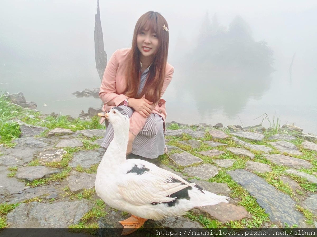 IMG_9849_副本.jpg IMG_9849_副本.jpg