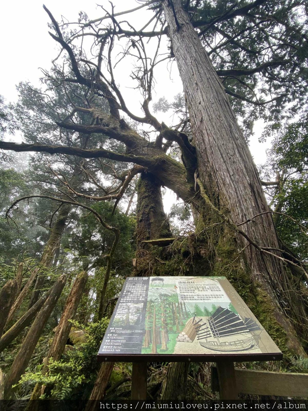 IMG_0313_副本.jpg IMG_0313_副本.jpg