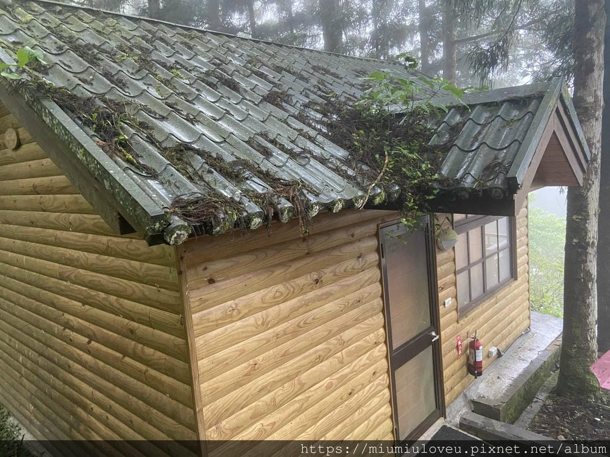 IMG_9914_副本.jpg IMG_9914_副本.jpg