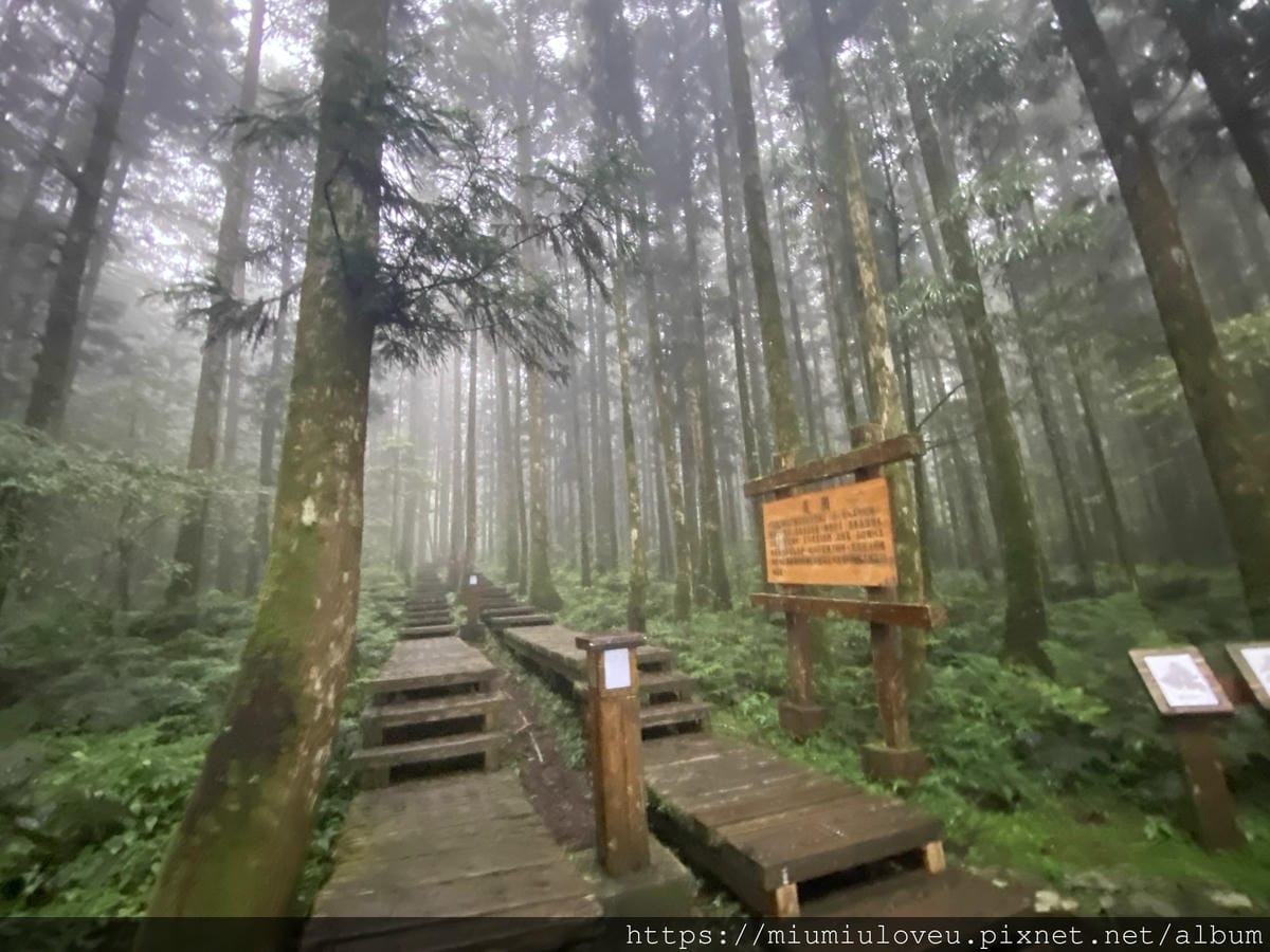 IMG_9873_副本.jpg IMG_9873_副本.jpg