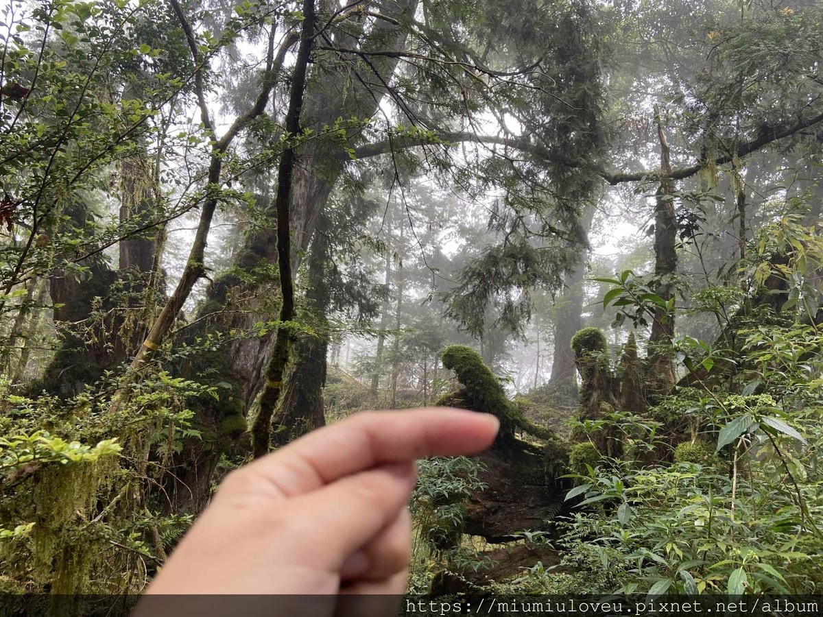 IMG_0324_副本.jpg IMG_0324_副本.jpg