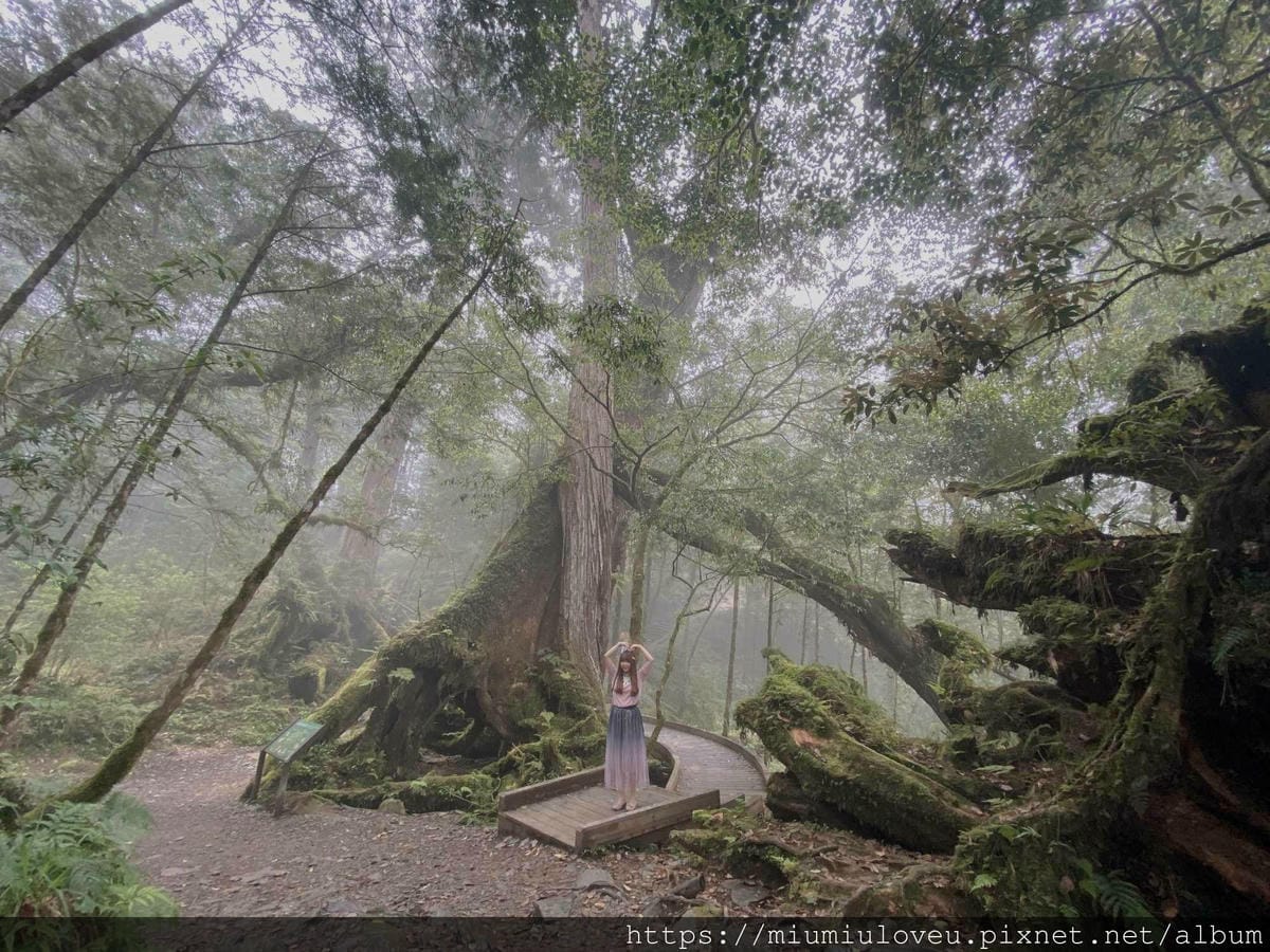 IMG_0276_副本.jpg IMG_0276_副本.jpg