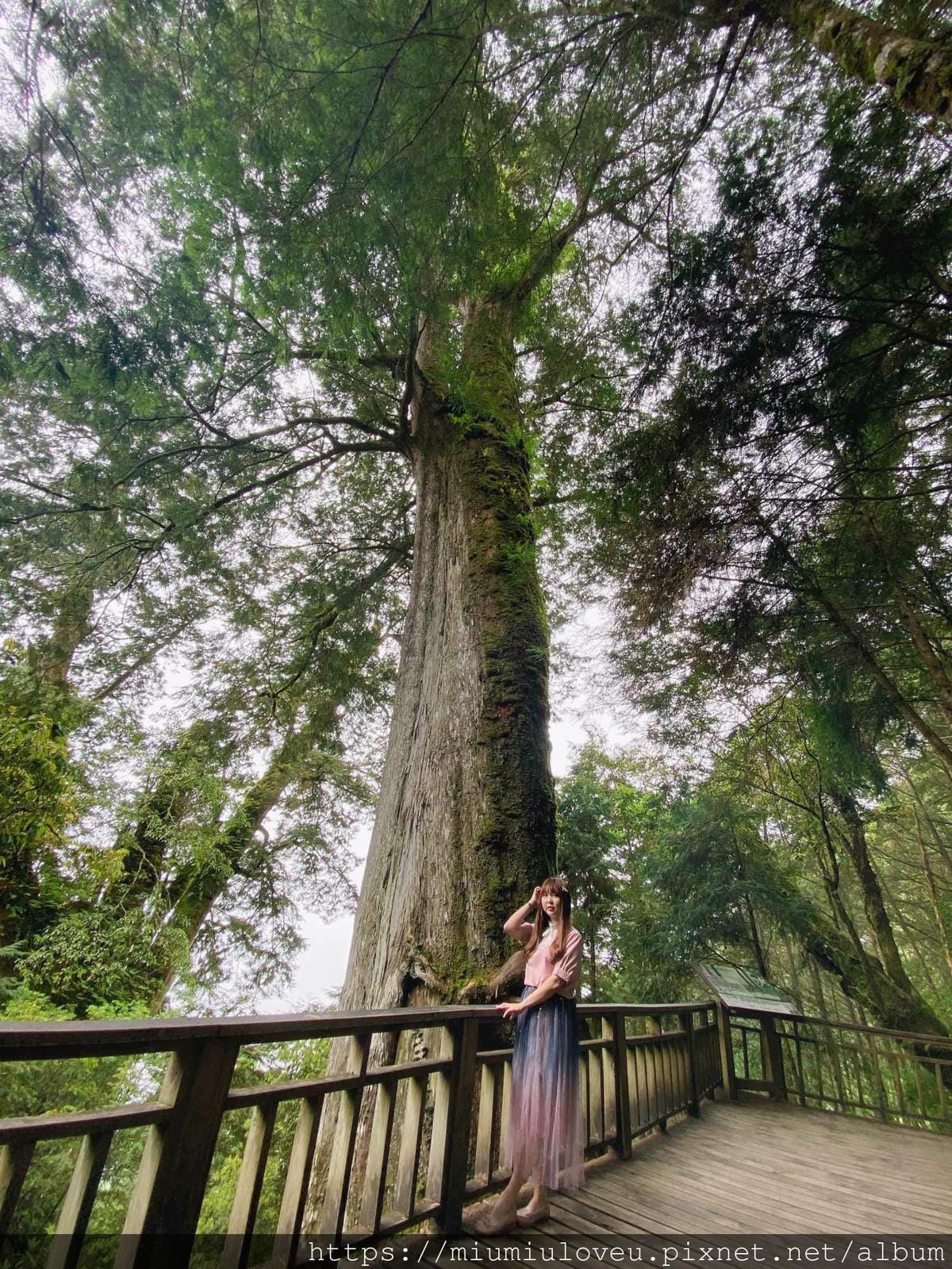 IMG_0191_副本.jpg IMG_0191_副本.jpg