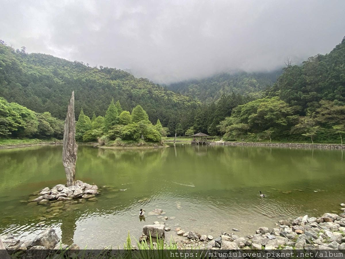 IMG_0467_副本.jpg IMG_0467_副本.jpg