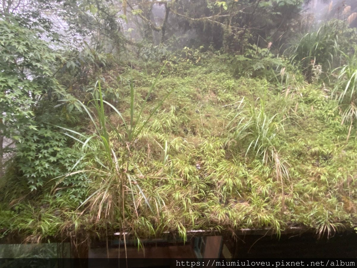 IMG_9948_副本.jpg IMG_9948_副本.jpg