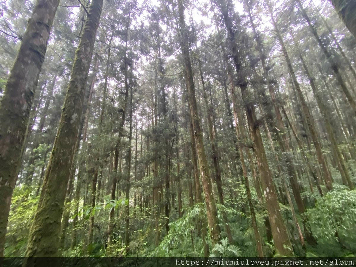 IMG_9702_副本.jpg IMG_9702_副本.jpg