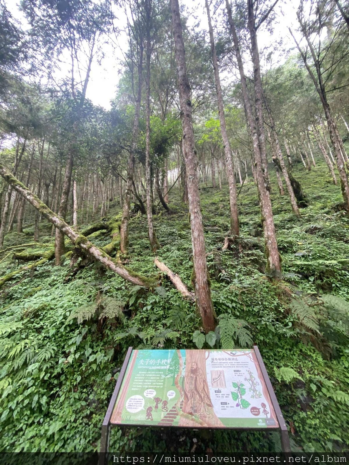 IMG_0195_副本.jpg IMG_0195_副本.jpg