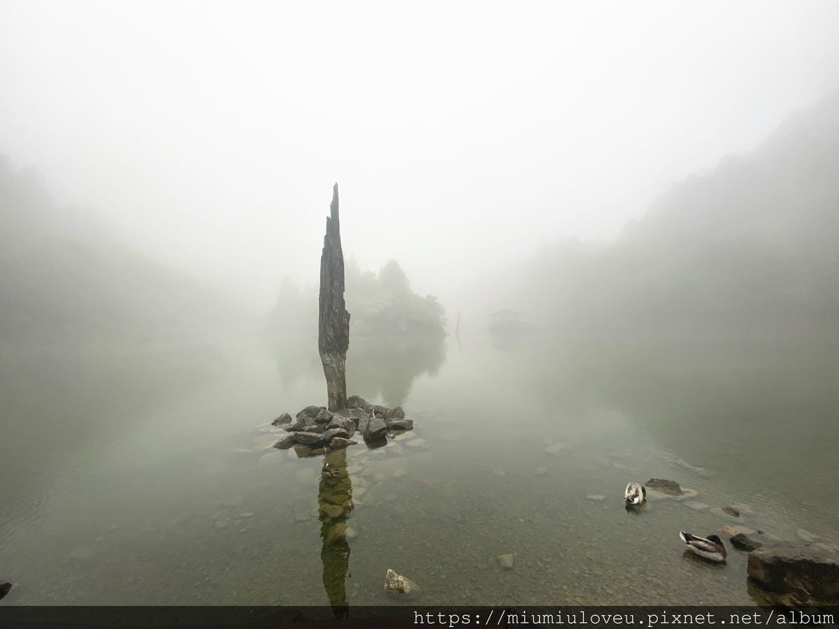 IMG_9835_副本.jpg IMG_9835_副本.jpg