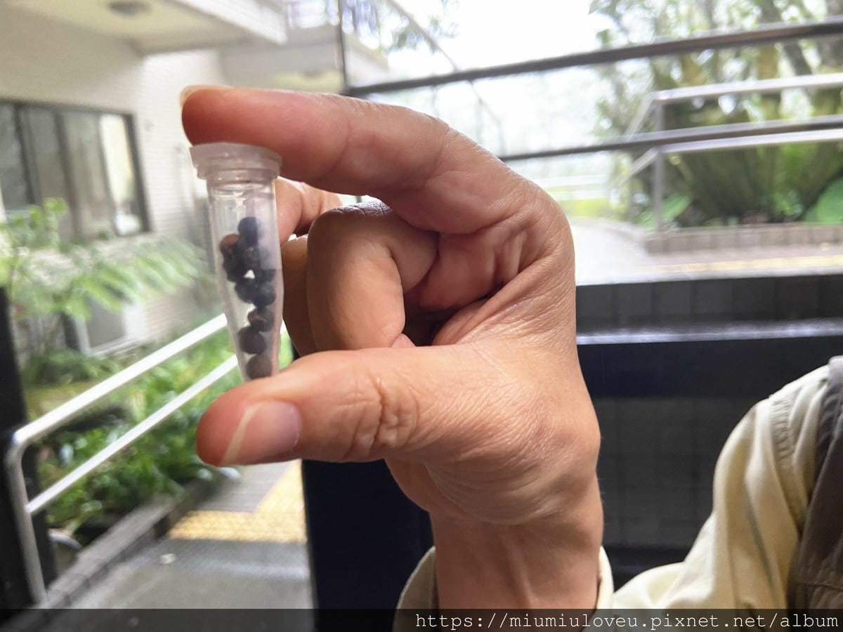 IMG_9675_副本.jpg IMG_9675_副本.jpg